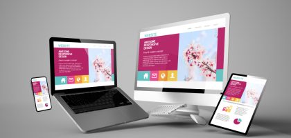 professional web design in abuja