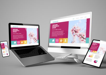professional web design in abuja